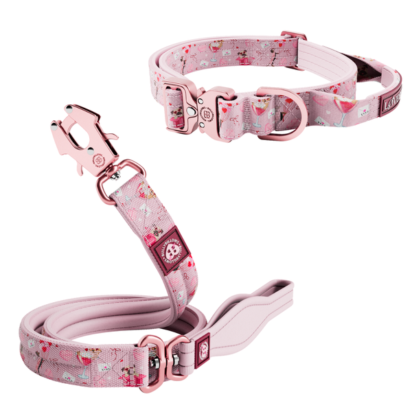Sweet Steps 2.5cm Collar & Lead Bundle - Pink