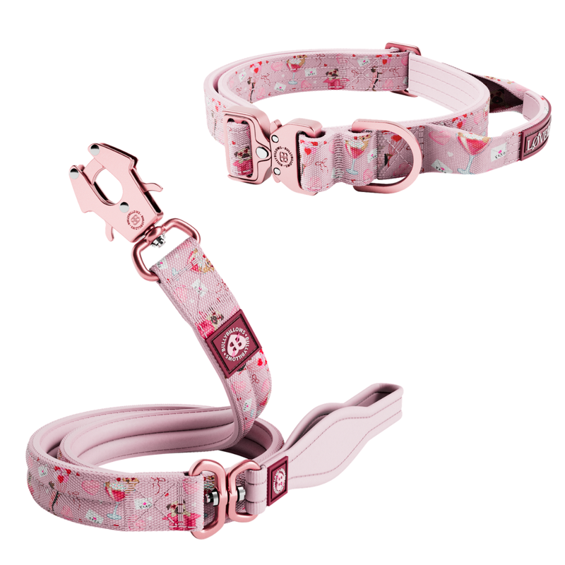 Sweet Steps 2.5cm Collar & Lead Bundle - Pink