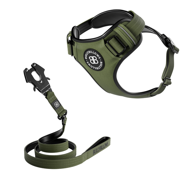 Comfort Premium Harness & Swivel Combat Lead Bundle - Khaki