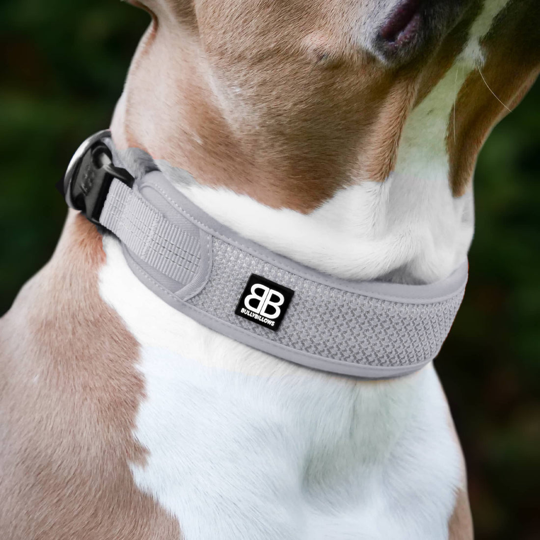 featured image of Slip N' Clip Collar | XS-M Breeds - Grey