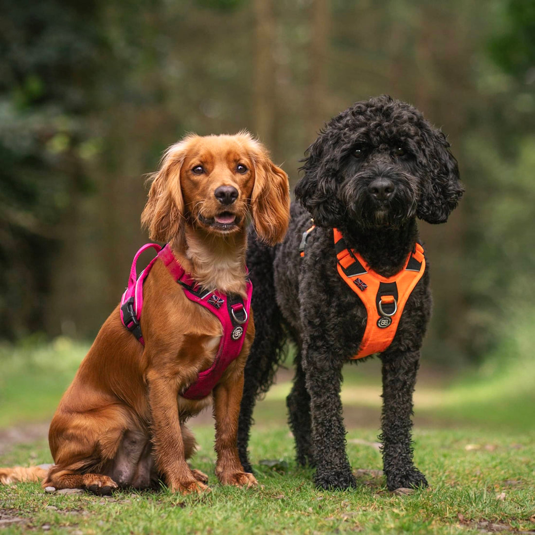 featured image of Anti Pull - Hurricane Harness - Pink
