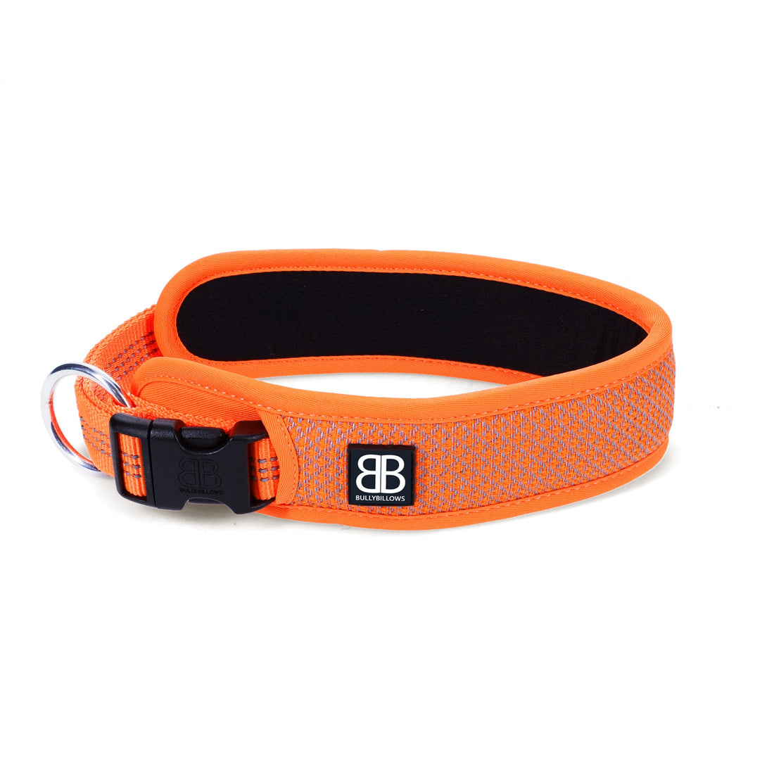 featured image of Active Slip N' Clip Collar | XS-M Breeds