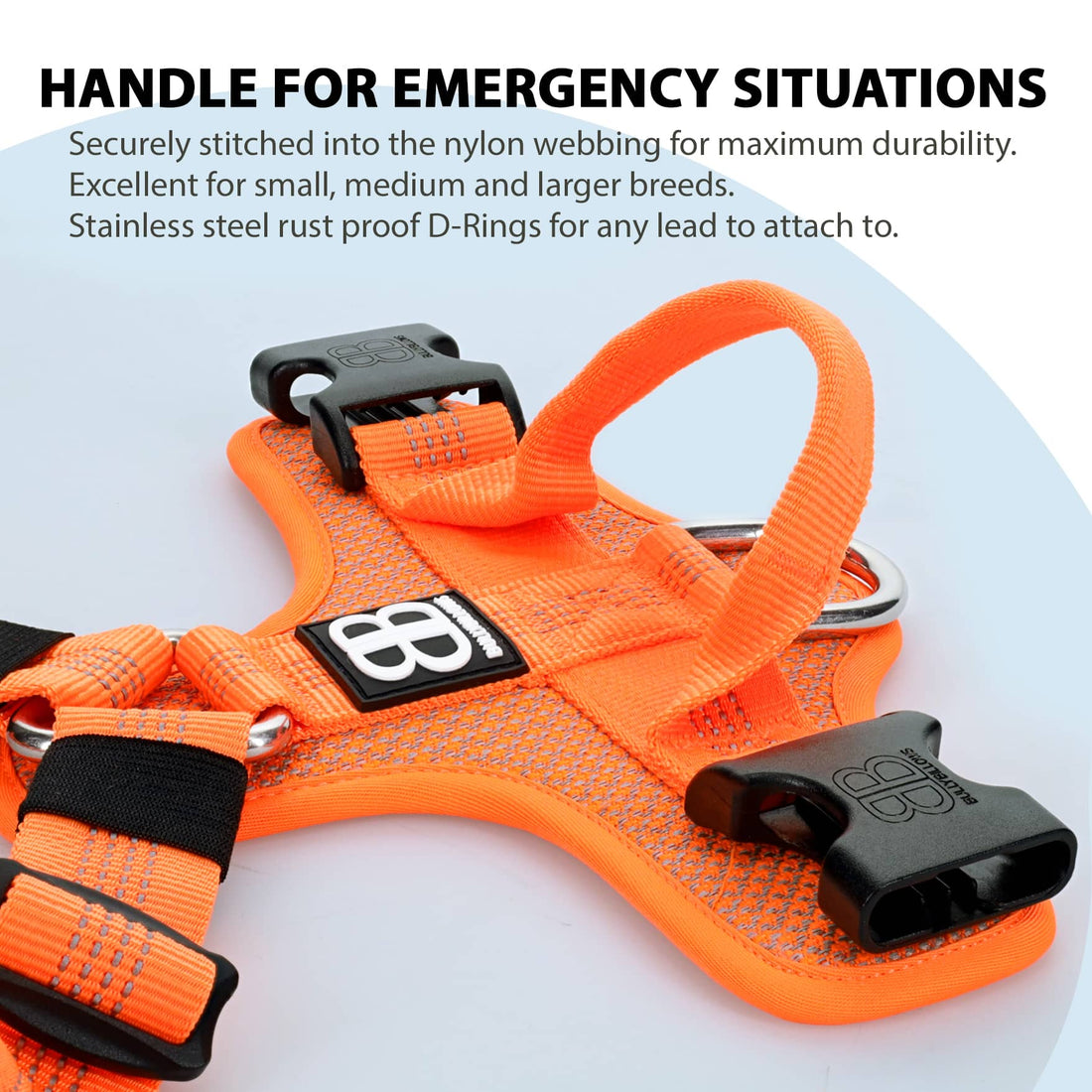 featured image of Active Harness - Orange