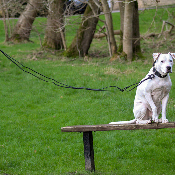 Adjustable Billowthane Leash | 2-3 metres - Khaki