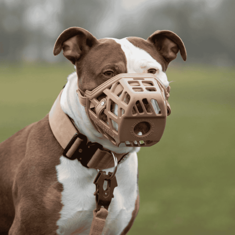 Premium Comfort Muzzles