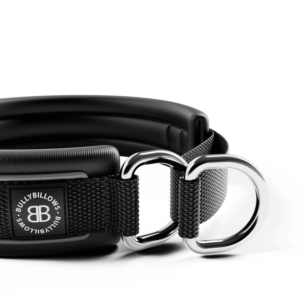 3cm Slip on Collar | Foam Padded - Black