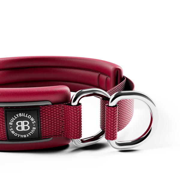 3cm Slip on Collar | Foam Padded - Burgundy
