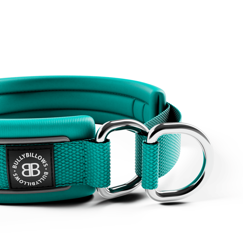 3cm Slip on Collar | Foam Padded - Turquoise