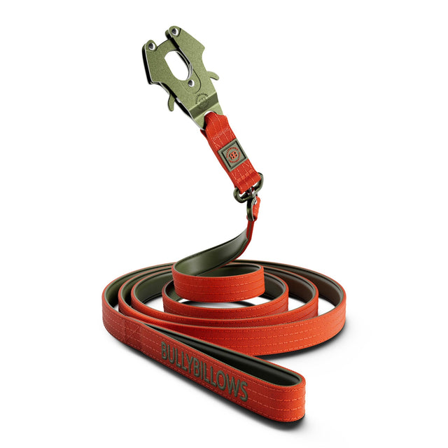3m combat swivel dog lead 