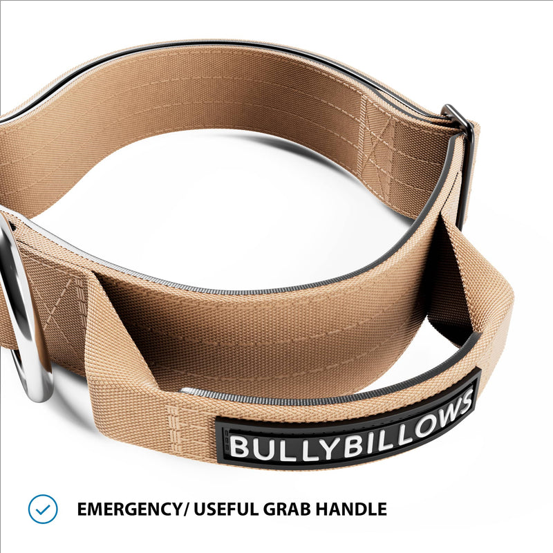 4cm Combat® Collar | Handle & Rated Clip - Tan