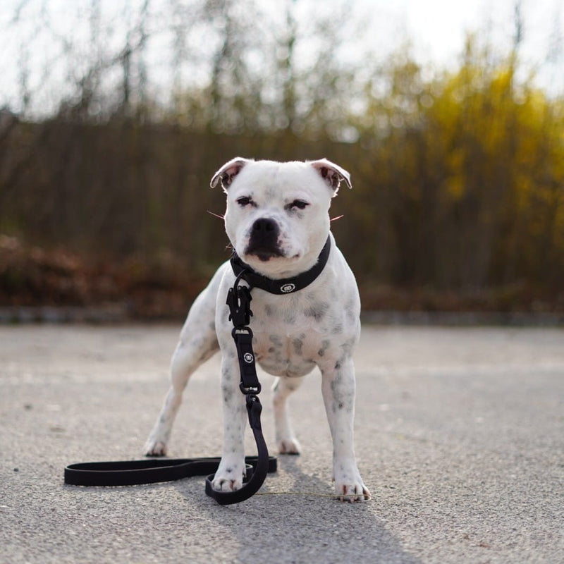 4cm Combat Billowthane® Collar | Waterproof - Black