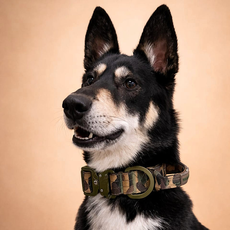 4cm Lighter Combat® Collar | With Handle Rated Clip - Green Camouflage