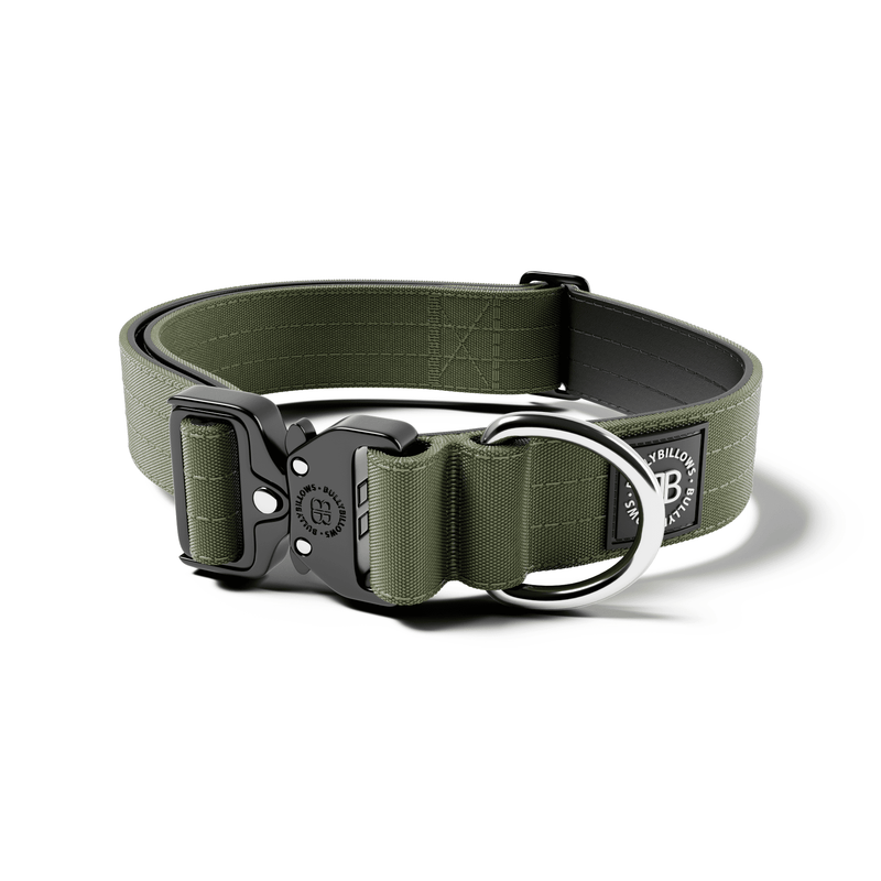 Collier de combat 4 cm | Clip nominal - pas de poignée - Khaki V2.0