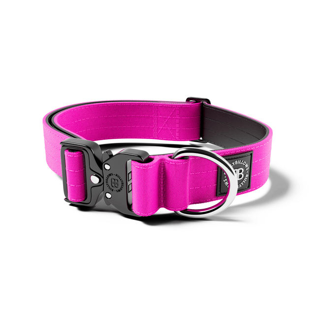 4cm Combat® Collar | No Handle & Secure Clip - Magenta