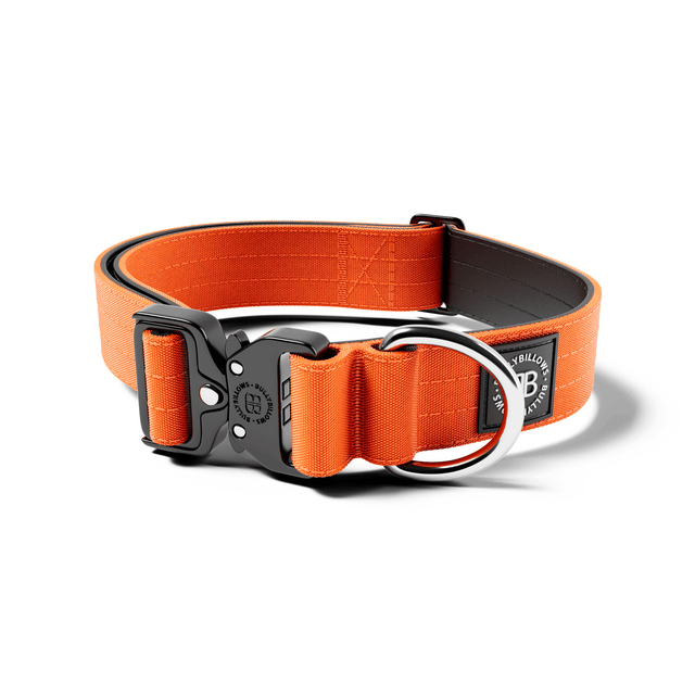 4cm Combat® Collar | No Handle & Secure Clip - Orange