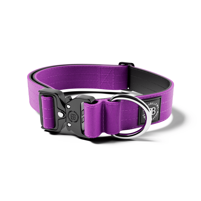 4cm Combat® Collar | No Handle & Secure Clip - Purple