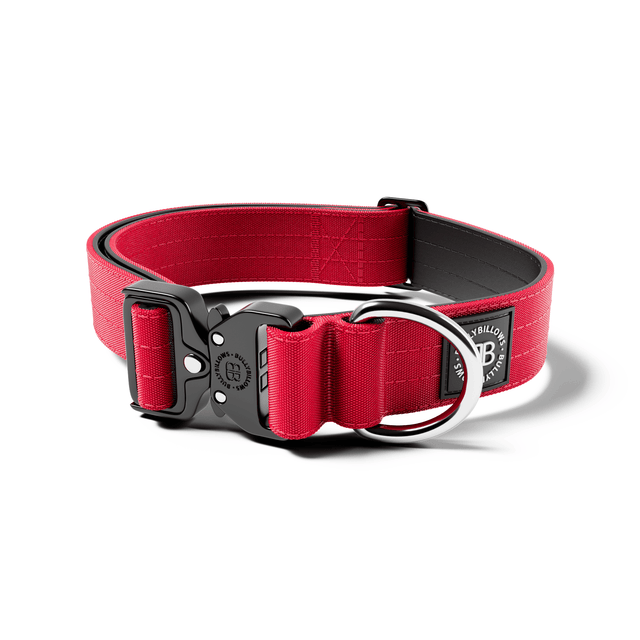 4cm Combat® Collar | No Handle & Secure Clip - Red