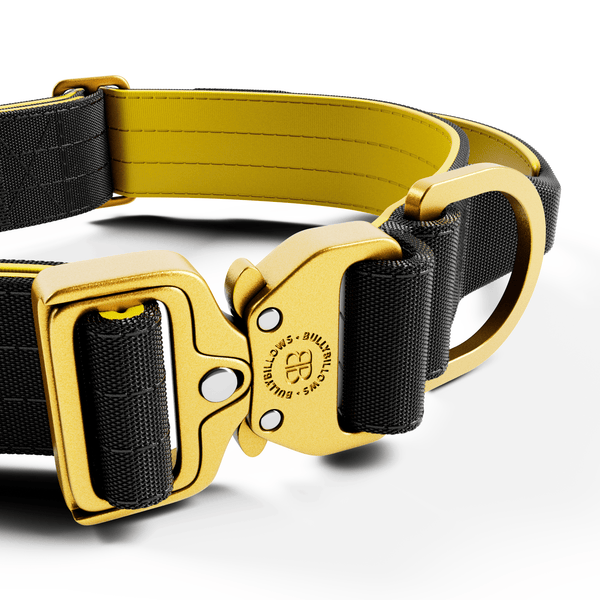 4cm LIGHTER Combat® Collar | With Handle Rated Clip - Black, Yellow & Gold