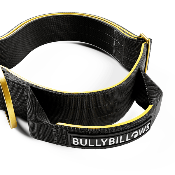 4cm LIGHTER Combat® Collar | With Handle Rated Clip - Black, Yellow & Gold