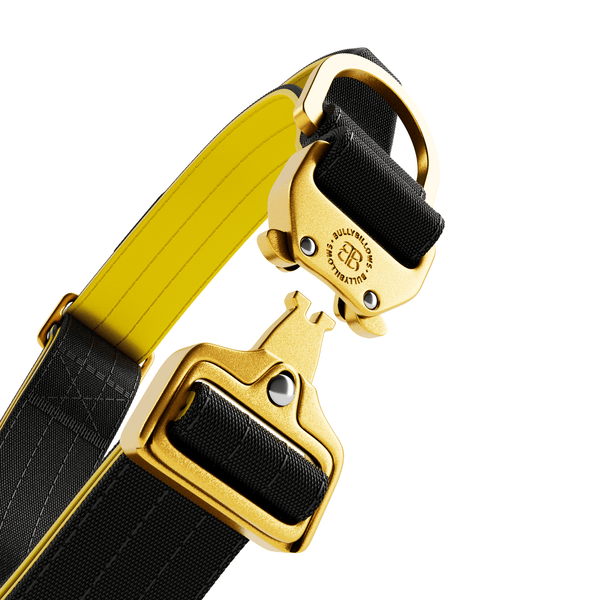 4cm LIGHTER Combat® Collar | With Handle Rated Clip - Black, Yellow & Gold