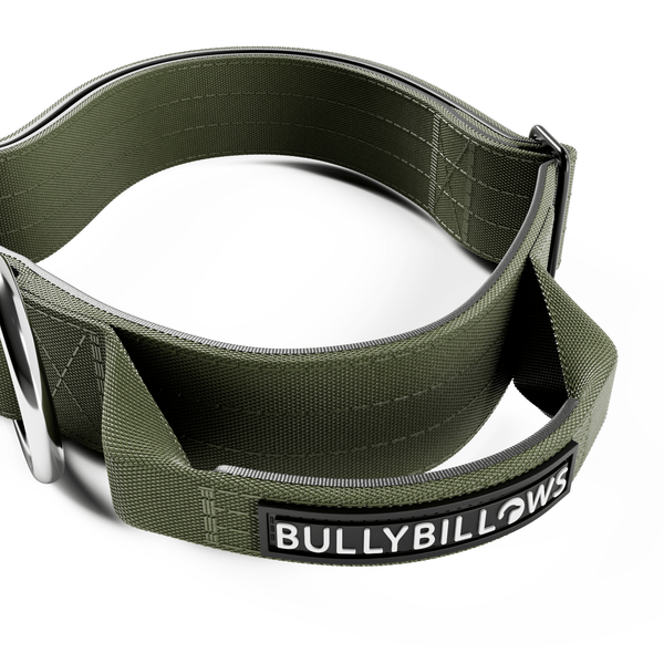 4cm Combat® Collar | Handle & Rated Clip -  Khaki