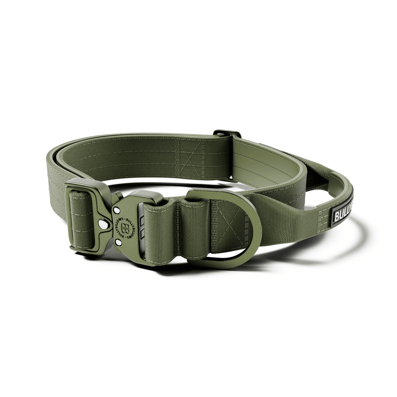 4cm LIGHTER Combat® Collar | With Handle Rated Clip - Khaki x Khaki