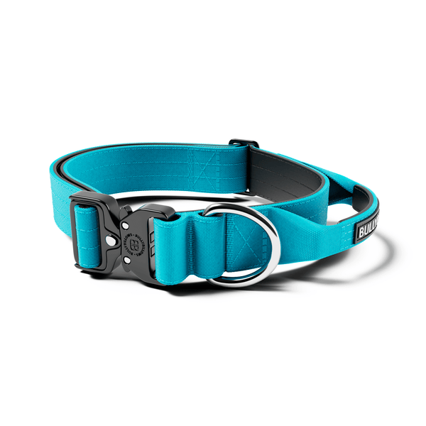 4cm Combat® Collar | With Handle & Rated Clip - Light Blue