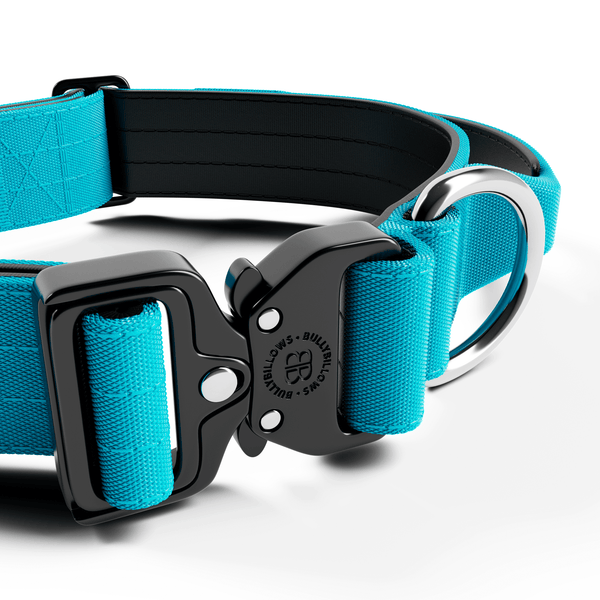 4cm Combat® Collar | With Handle & Rated Clip - Light Blue