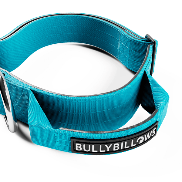 4cm Combat® Collar | With Handle & Rated Clip - Light Blue