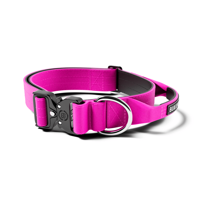 4cm Combat® Collar | With Handle & Rated Clip - Magenta