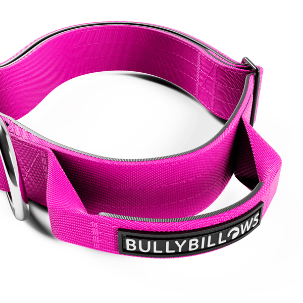 4cm Combat® Collar | With Handle & Rated Clip - Magenta