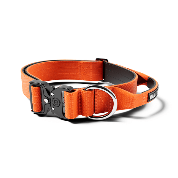 4cm Combat® Collar | Handle & Rated Clip - Orange