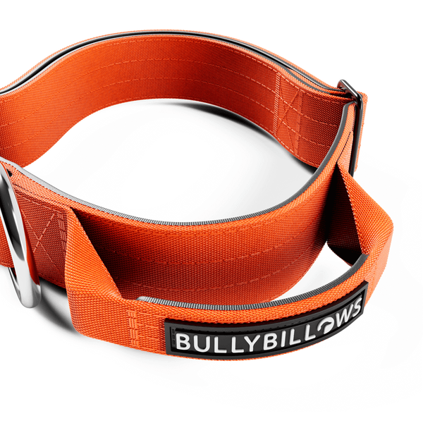 4cm Combat® Collar | Handle & Rated Clip - Orange