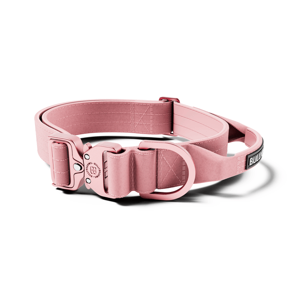 4cm LIGHTER Combat® Collar | With Handle Rated Clip - Pink x Pink