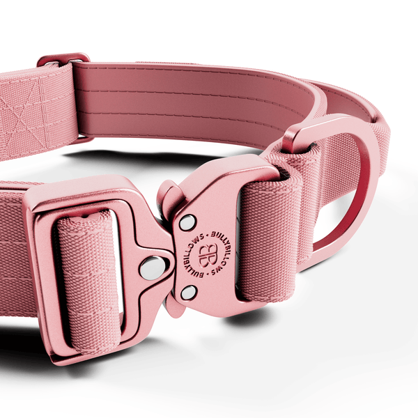 4cm LIGHTER Combat® Collar | With Handle Rated Clip - Pink x Pink