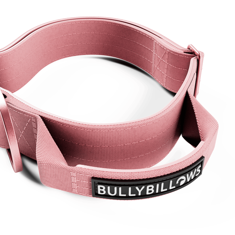 4cm LIGHTER Combat® Collar | With Handle Rated Clip - Pink x Pink