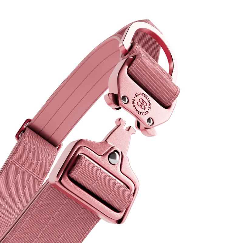 4cm LIGHTER Combat® Collar | With Handle Rated Clip - Pink x Pink