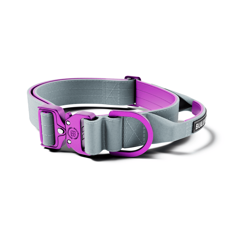 4cm LIGHTER Combat® Collar | With Handle Rated Clip - Purple & Metal Grey