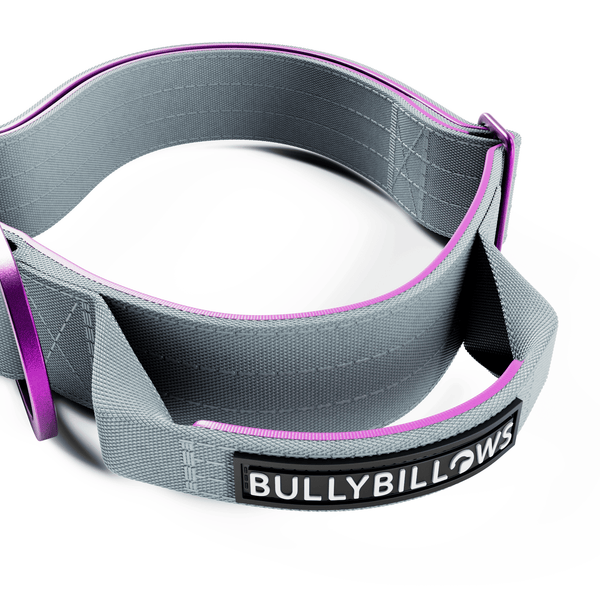 4cm LIGHTER Combat® Collar | With Handle Rated Clip - Purple & Metal Grey