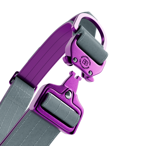 4cm LIGHTER Combat® Collar | With Handle Rated Clip - Purple & Metal Grey