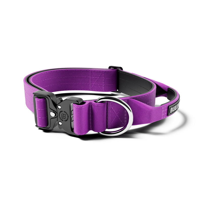4cm Combat® Collar | Handle & Rated Clip - Purple