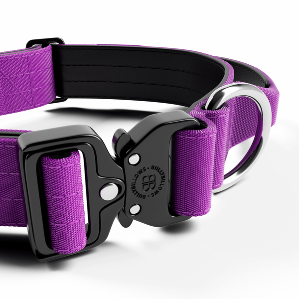 4cm Combat® Collar | Handle & Rated Clip - Purple