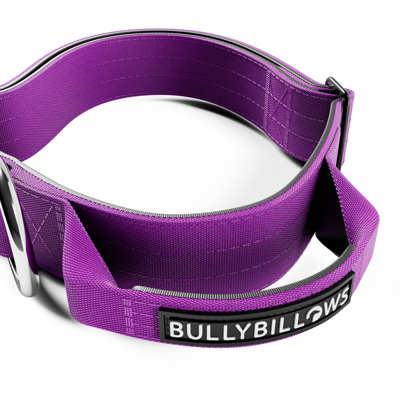 4cm Combat® Collar | Handle & Rated Clip - Purple