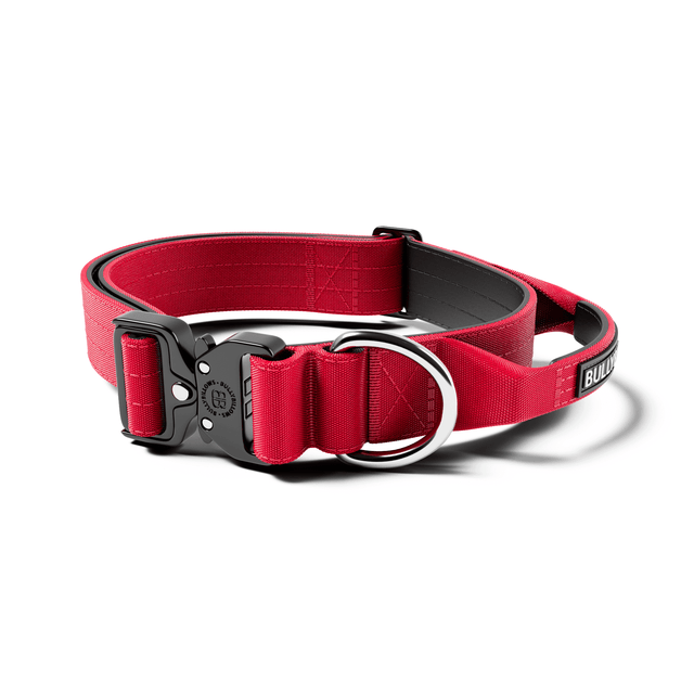 4cm Combat® Collar | With Handle & Secure Clip - Red