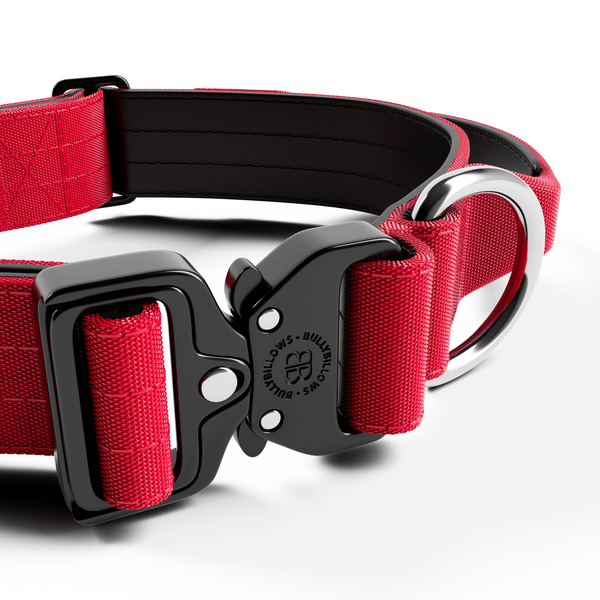 4cm Combat® Collar | Handle & Rated Clip - Red