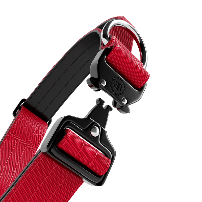 4cm Combat® Collar | Handle & Rated Clip - Red
