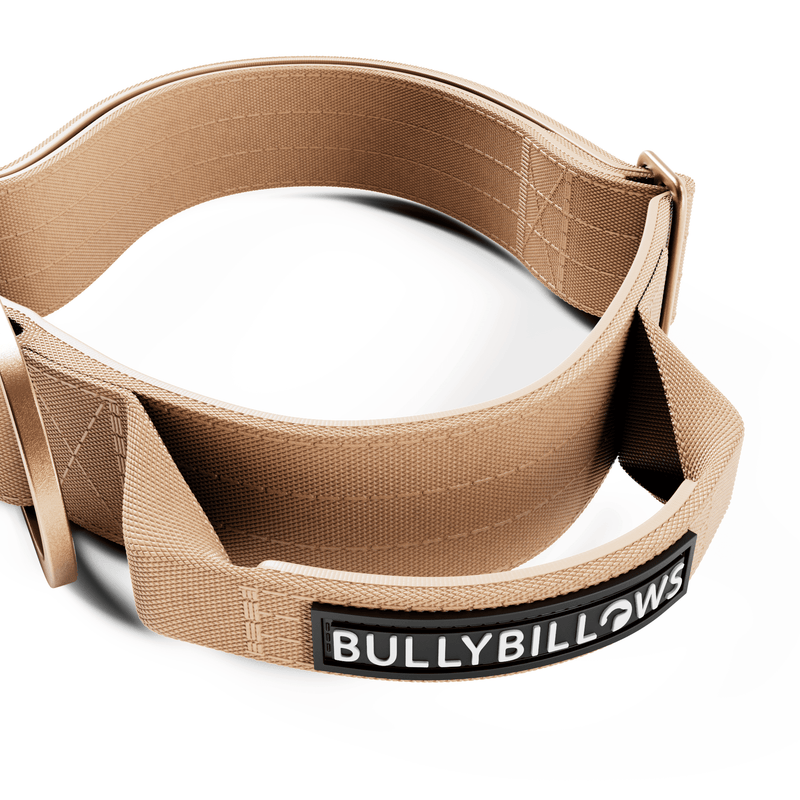 4cm LIGHTER Combat® Collar | Handle Rated Clip - Tan x Tan