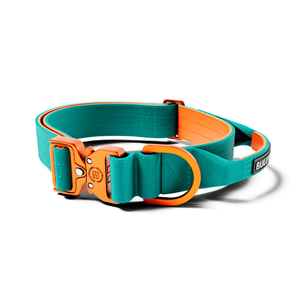 4cm LIGHTER Combat® Collar | With Handle Rated Clip - Turquoise & Orange