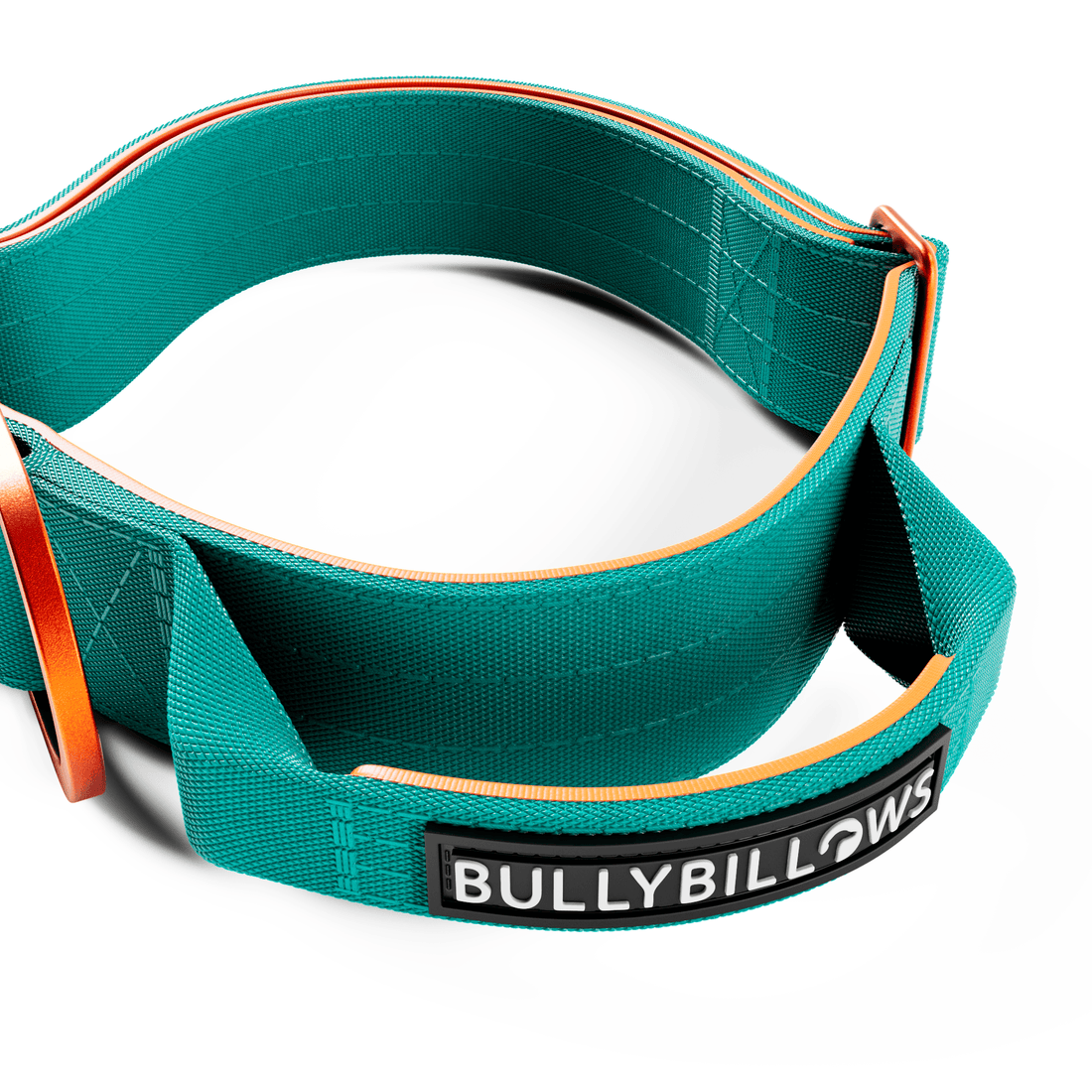 featured image of 4cm LIGHTER Combat® Collar - Turquoise & Orange