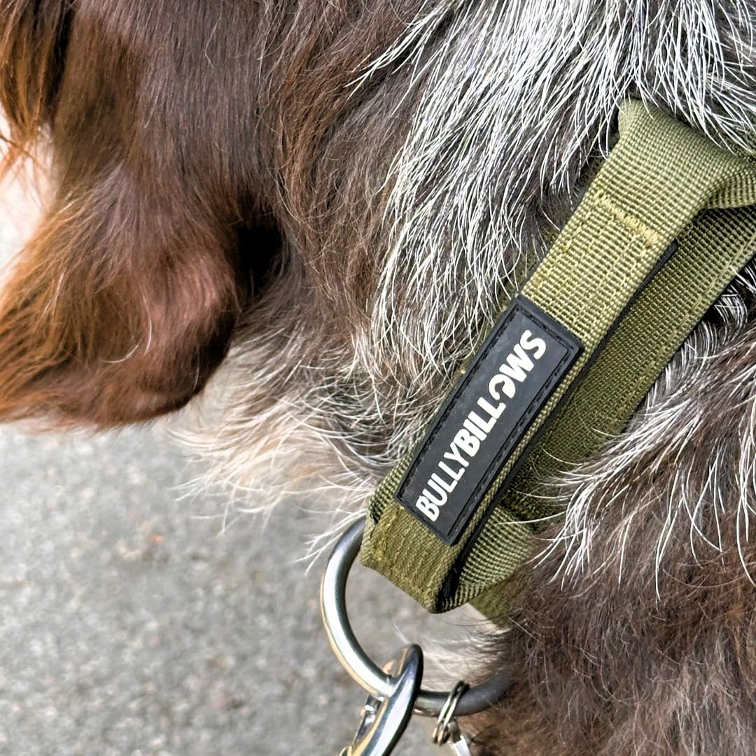 featured image of 4cm Combat® Collar | With Handle & Secure Clip -  Khaki
